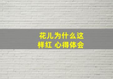 花儿为什么这样红 心得体会